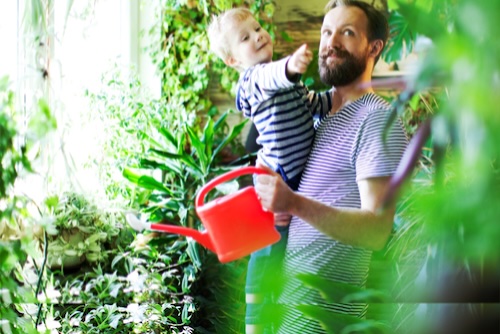 Man watering plants.