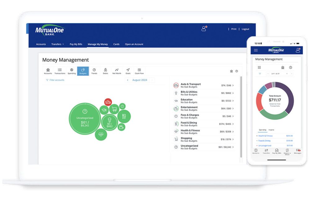 Screenshot of Manage My Money screen.